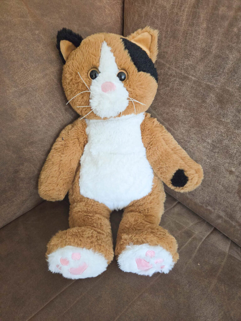Bubs de verzwaringsknuffel na een maand testen. Bubs is een oranje met zwart en witte lapjeskat met een roze neusje en roze toe beans.