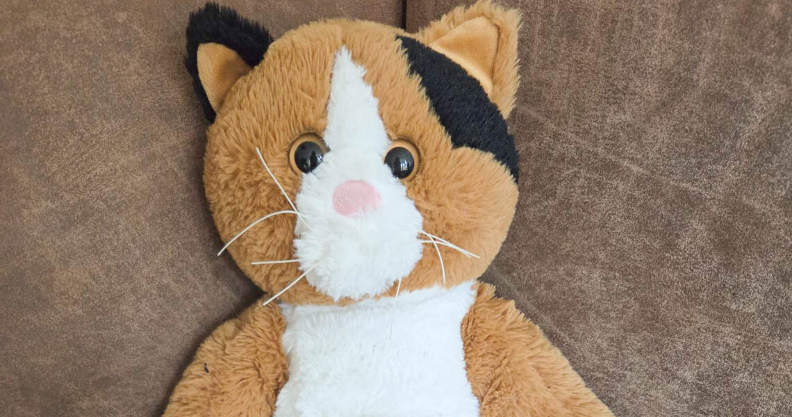 Bubs de verzwaringsknuffel. Bubs is een oranje met zwart en witte lapjeskat met een roze neusje en roze toe beans.